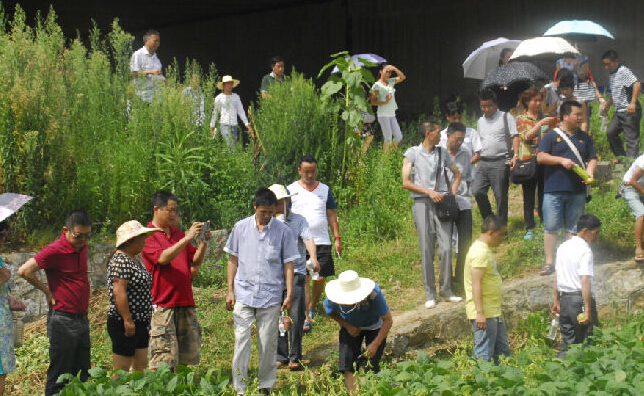 公司2013年6月 到惠水联合农业科技馆参观学习